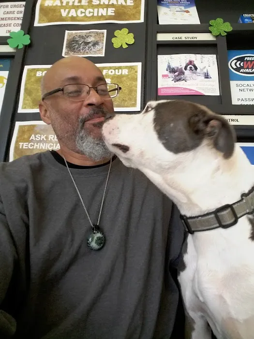 Southern California Veterinary Hospital & Animal Skin Clinic Picture 10
