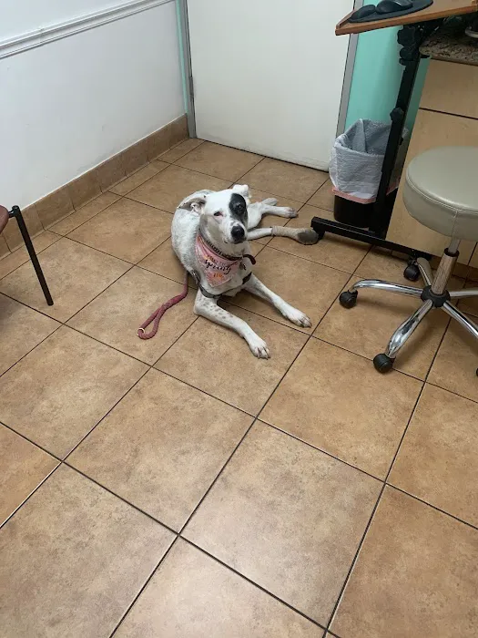 West Hills Animal Hospital Picture 7