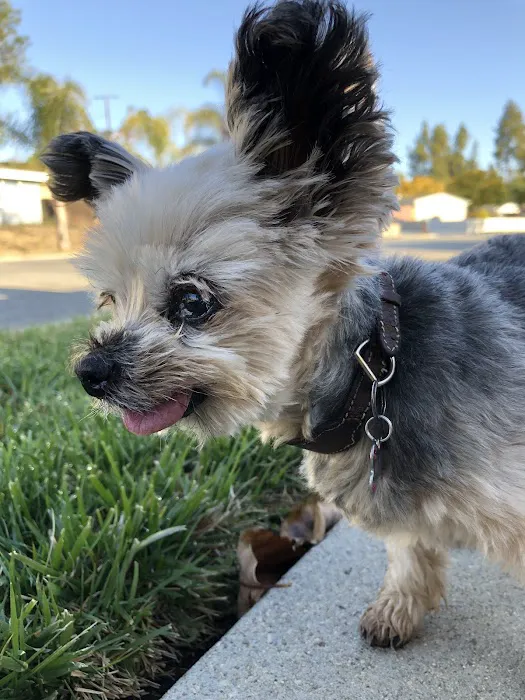 West Hills Animal Hospital Picture 6