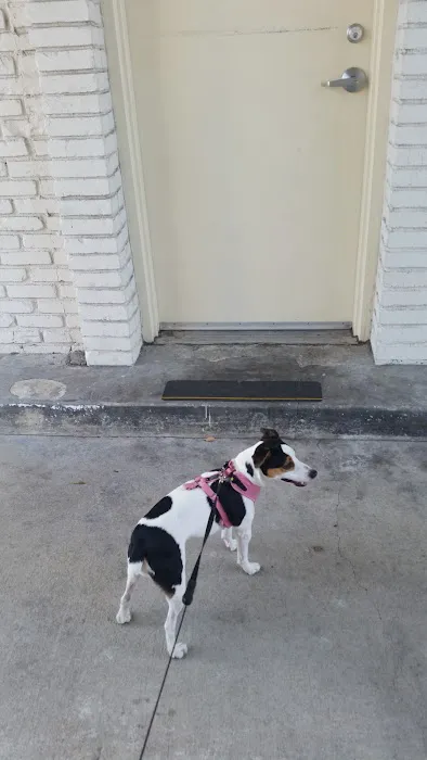 West Hills Animal Hospital Picture 10