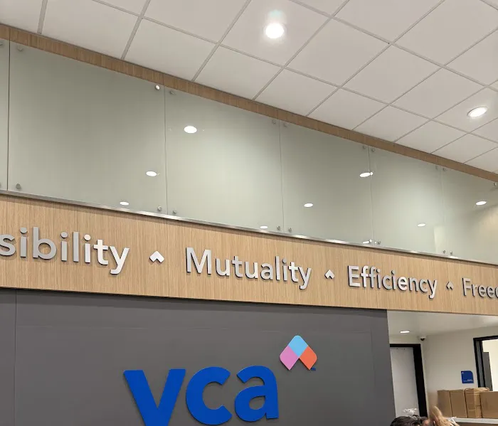 VCA Veterinary Specialists of the Valley Picture 3