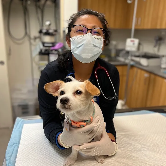 VCA Veterinary Specialists of the Valley Picture 9