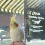 West Valley Pet Clinic