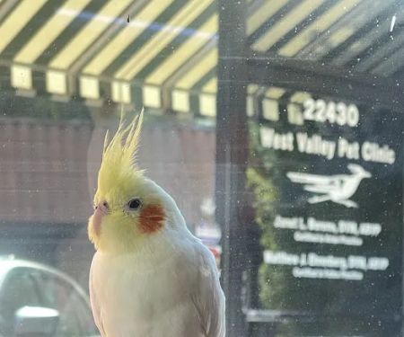 West Valley Pet Clinic