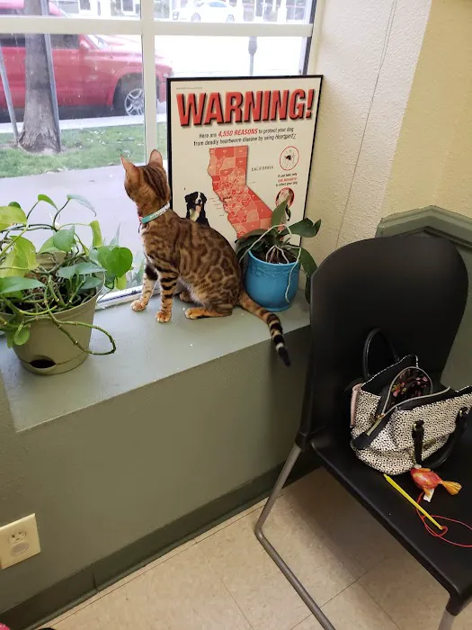 Veterinary Medical Center of Woodland Hills Picture 6
