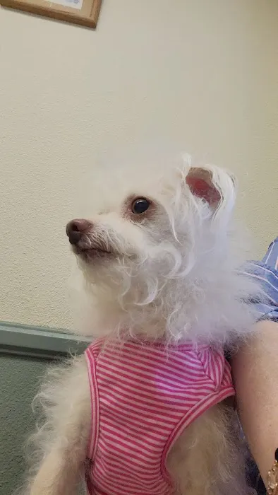 Veterinary Medical Center of Woodland Hills Picture 10