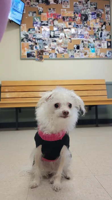 Veterinary Medical Center of Woodland Hills Picture 9