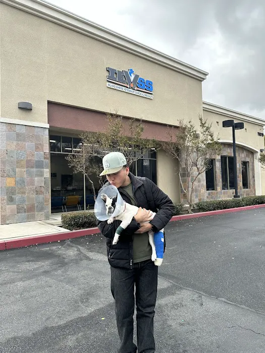 Inland Empire Veterinary Surgical Specialty Picture 1
