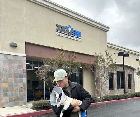 Inland Empire Veterinary Surgical Specialty