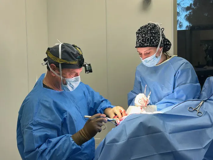 Inland Empire Veterinary Surgical Specialty Picture 5