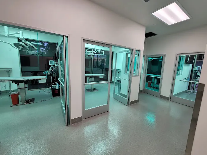 Inland Empire Veterinary Surgical Specialty Picture 6