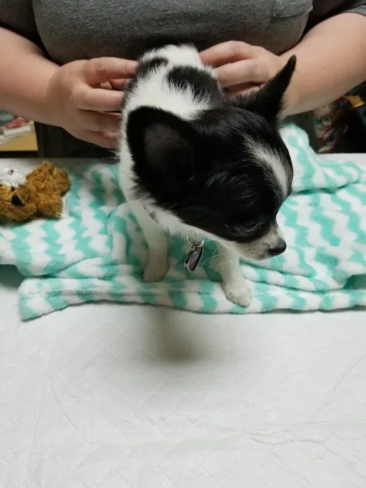 Rancho Regional Veterinary Hospital Picture 1