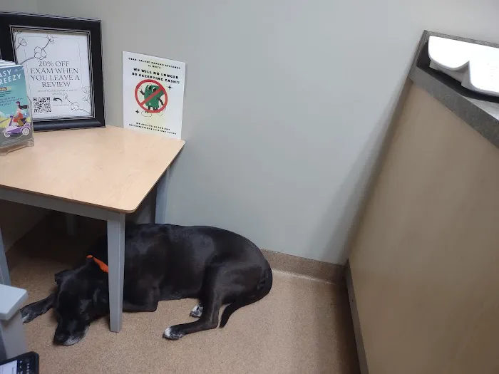 Rancho Regional Veterinary Hospital Picture 5