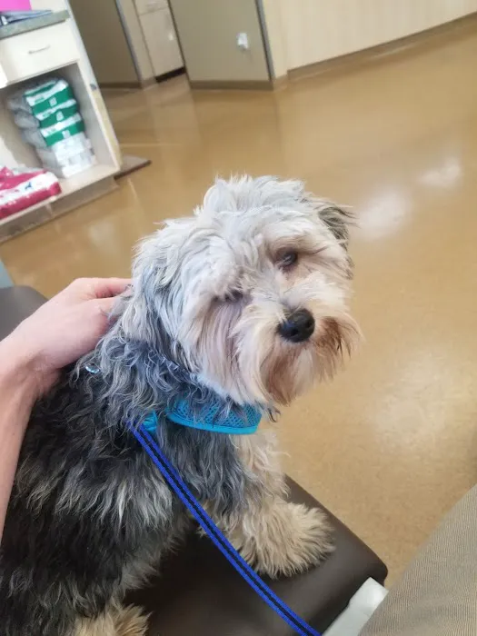 Rancho Regional Veterinary Hospital Picture 7