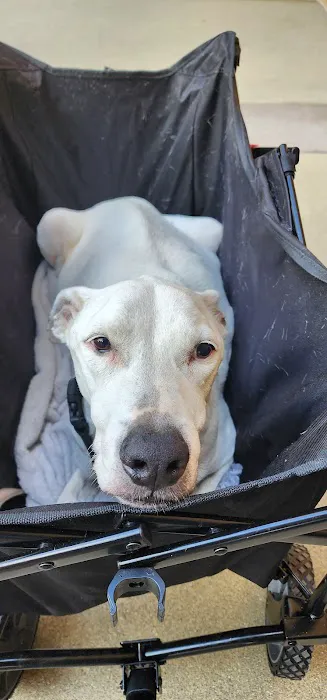PetEmerg Emergency Animal Hospital Picture 4