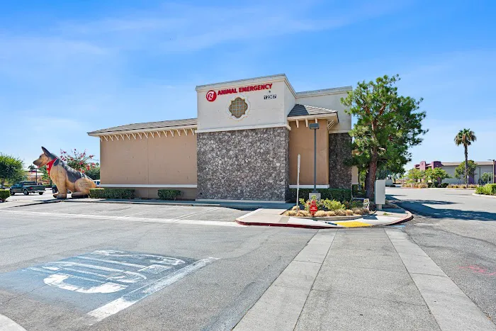 PetEmerg Emergency Animal Hospital Picture 3