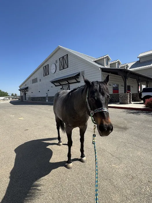 SoCal Equine Hospital Picture 1