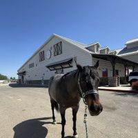 SoCal Equine Hospital ico