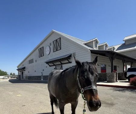 SoCal Equine Hospital