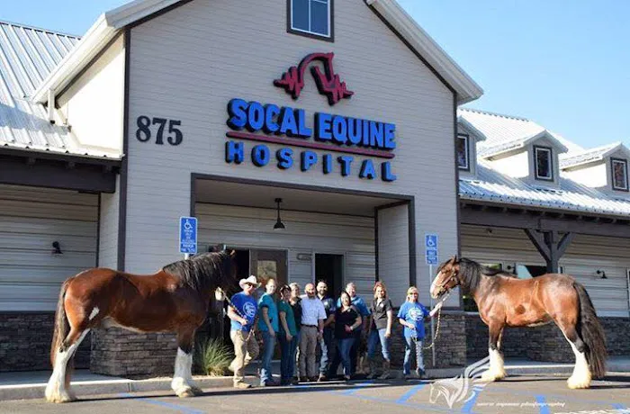 SoCal Equine Hospital Picture 2