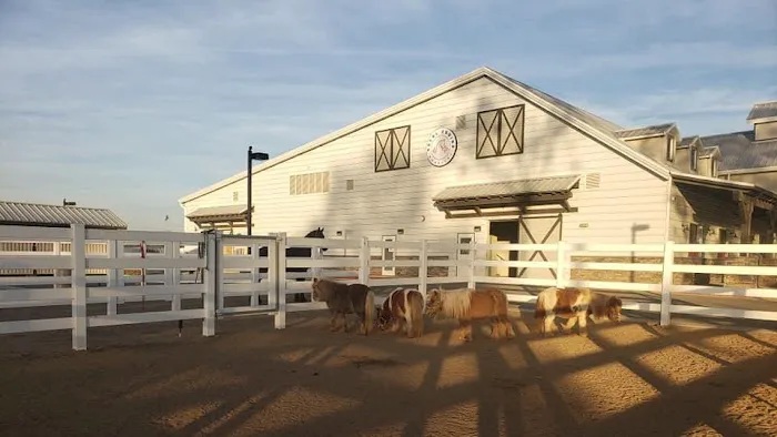SoCal Equine Hospital Picture 6