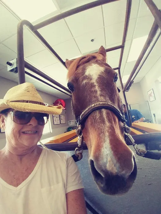 SoCal Equine Hospital Picture 10