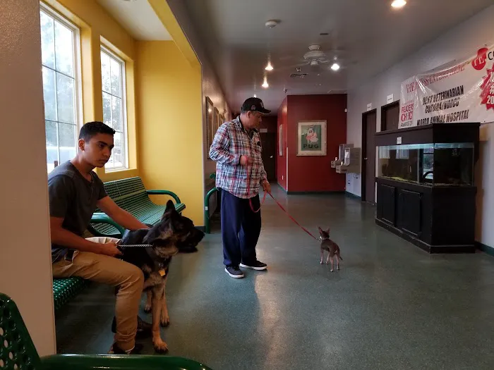 Norco Animal Hospital at SoCalVetGroup Picture 2