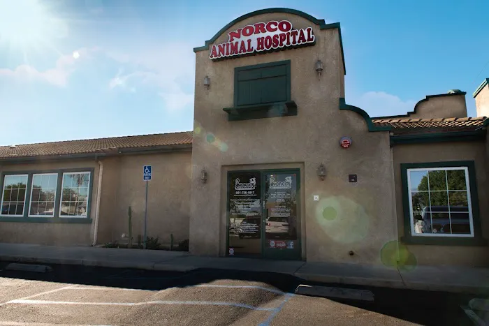 Norco Animal Hospital at SoCalVetGroup Picture 10