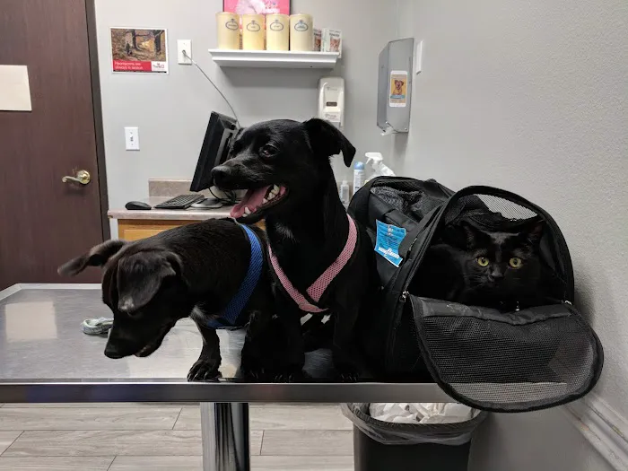 Norco Animal Hospital at SoCalVetGroup Picture 8