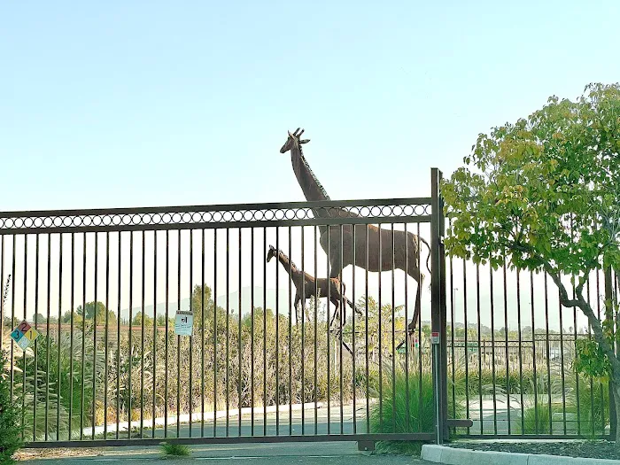 Animal Care Services Picture 2