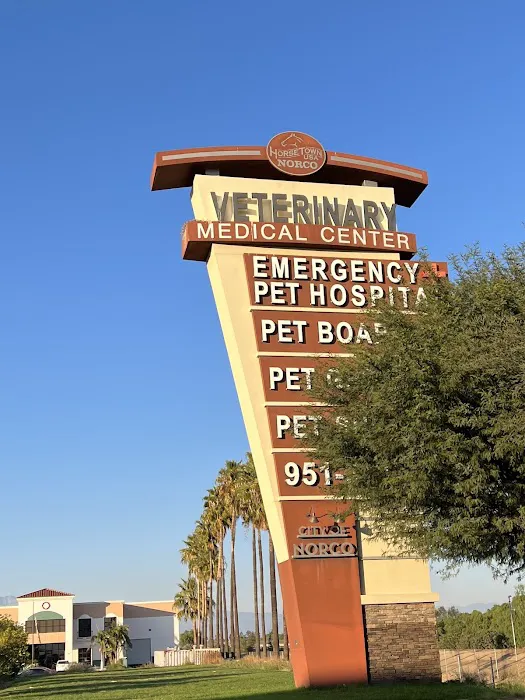 Animal Care Services Picture 3