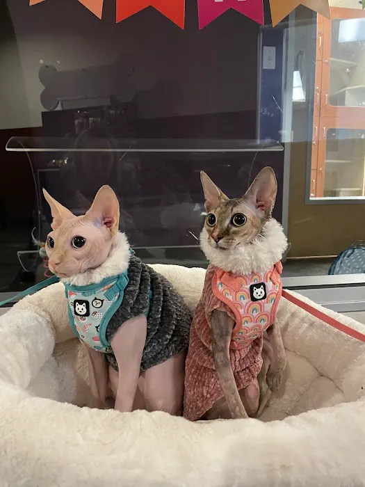 Animal Care Services Picture 9