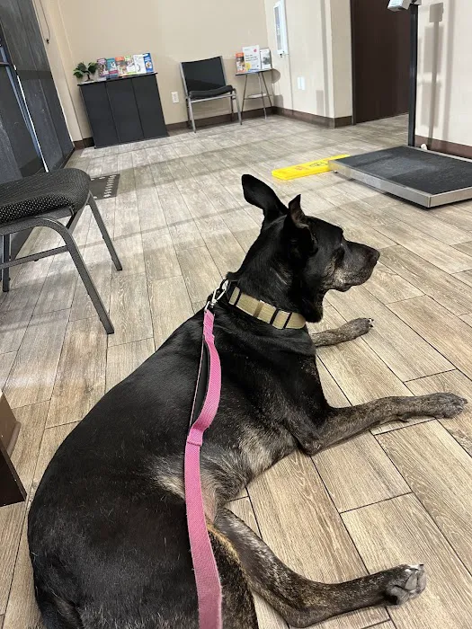 Heritage Animal Hospital, Urgent Care and Surgical Center Picture 1
