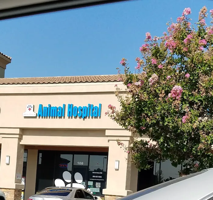 Heritage Animal Hospital, Urgent Care and Surgical Center Picture 5