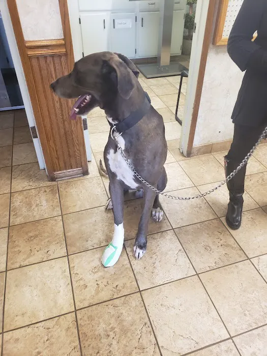 Pedley Veterinary Hospital Picture 10