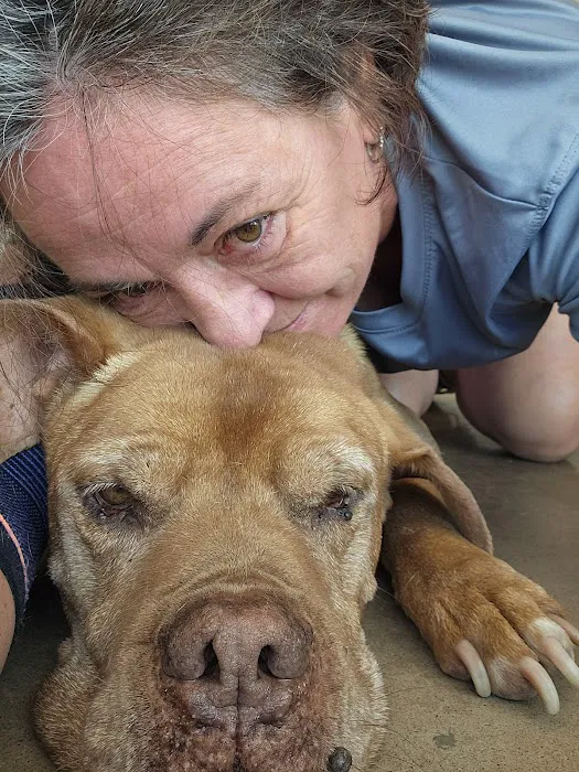 Ardmore Animal Hospital Picture 4