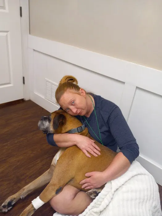 Ardmore Animal Hospital Picture 8