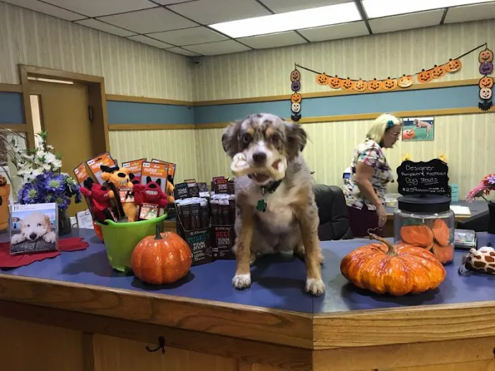 Westwood Veterinary Hospital- Doug Aldridge, DVM Picture 8