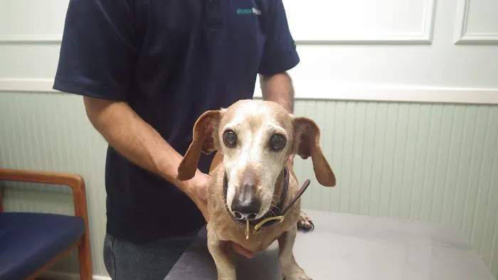 Westwood Veterinary Hospital- Doug Aldridge, DVM Picture 7