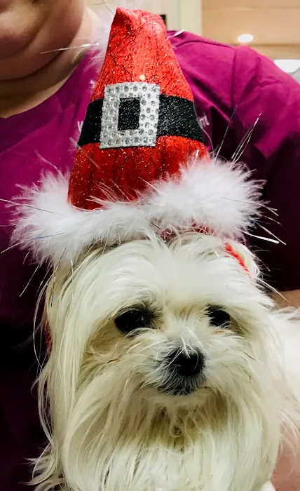 Westwood Veterinary Hospital- Doug Aldridge, DVM Picture 9