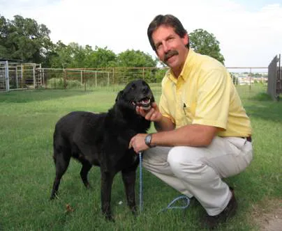 Westwood Veterinary Hospital Picture 3