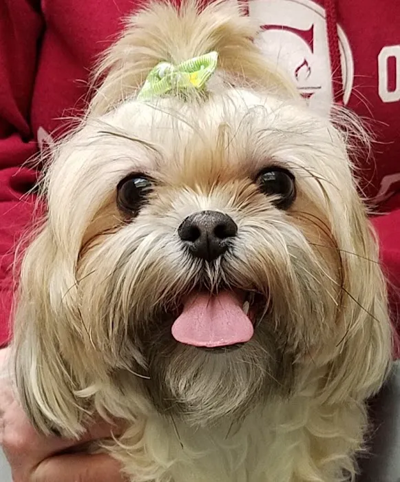 Westwood Veterinary Hospital Picture 5