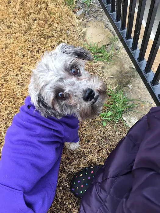 Carter County Animal Hospital Picture 2