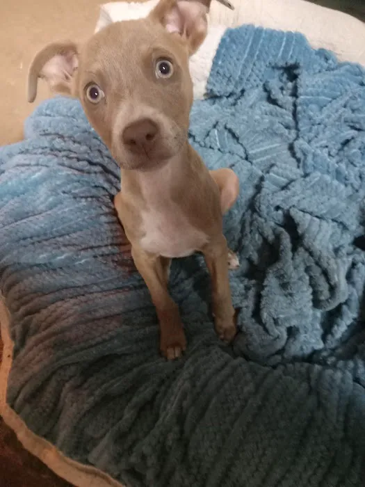 Carter County Animal Hospital Picture 1