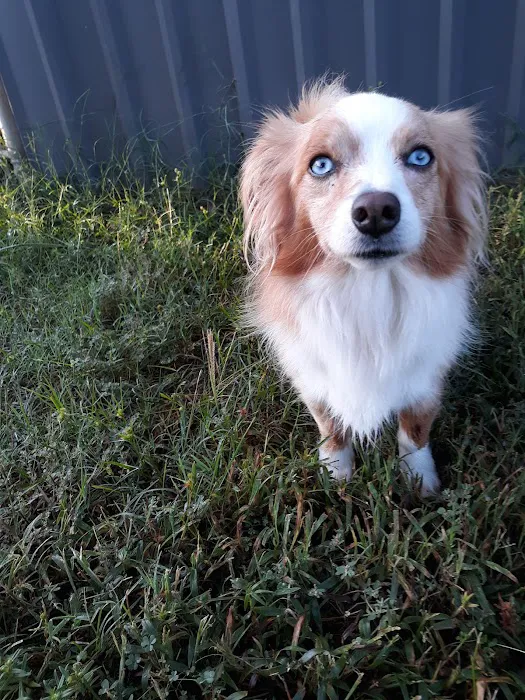 Carter County Animal Hospital Picture 4