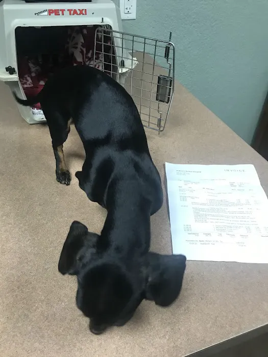 Carter County Animal Hospital Picture 6
