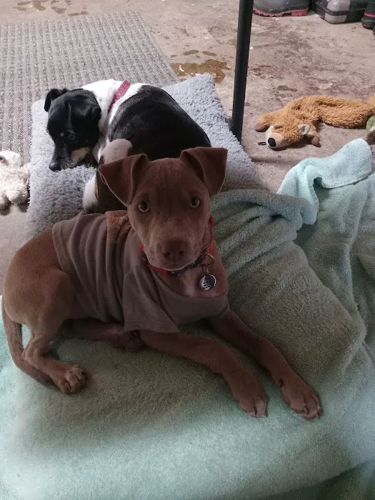 Carter County Animal Hospital Picture 3