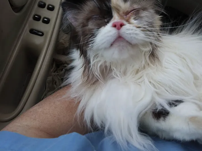 Carter County Animal Hospital Picture 9