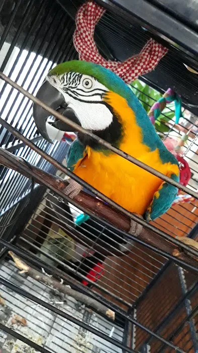 Family Pet Clinic Picture 6