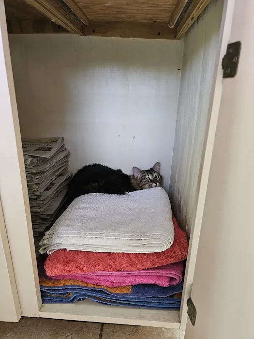 Family Pet Clinic Picture 8